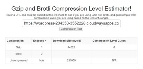 site compression test|brotli compression check.